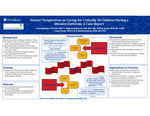 Nurses' Perspectives on Caring for Critically Ill Children During a Measles Outbreak: A Case Report