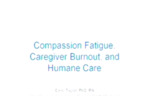 Compassion Fatigue, Caregiver Burnout and the Balanced Life by Carol Taylor