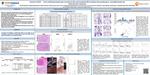 Perilymphatic IRX-2 cytokine therapy to enhance tumor infiltrating lymphocytes and PD-L1 expression preceding curative-intent therapy in early stage breast cancer by Joanna Pucilowska, Venkatesh Rajamanickam, Katherine Sanchez, Valerie Conrad, Alison Conlin, Shagheyegh Aliabadi-Wahle, Shu-Ching Chang, Gary Grunkemeier, Nikki Moxon, Staci Mellinger, Maritza Martel, James Egan, Monil Shah, and David B Page