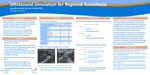 Ultrasound Simulation for Regional Anesthesia