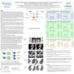 Addition of GITR Agonist to a Dark Matter Cancer Vaccine and anti-PD-1 Increases Regulatory T cell Numbers Without Appearing to Impact Therapeutic Efficacy by Rom S. Leidner1, Guo Hui Gan1, Christopher C. Paustian, and Shawn M. Jensen