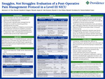 Snuggles, not struggles: evaluation of a post-operative pain management protocol in a level III community NICU by MaLeane Chin, Danielle Megano, Aiyana Ooki-Knutson, and Deasy Erin Wilson
