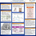 A potentially Cat-astrophic Missed Diagnosis:  Systemic Autoimmune Disease or Something more Sinister