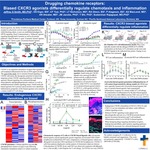 Drugging Chemokine Receptors: Biased CXCR3 Agonists Differentially Regulate Chemotaxis And Inflammation by Jeffrey Smith, Dylan Eiger, Chia-Feng Tsai, Lowell Nicholson, Rachel Glenn, Priya Alagesan, Amanda MacLeod, John Jacobs, Tujin Shi, and Sudarshan Rajagopal