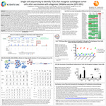 Single cell sequencing to identify TCRs that recognize autologous tumor cells after vaccination with allogeinic DRibble vaccine