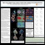 Open-source digital image analysis of whole-slide multiplex immunohistochemistry