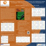 Application of multiplexed immunofluorescence and multispectral imaging to investigate TGFβ pathway activation of immune cell populations in human lung cancer